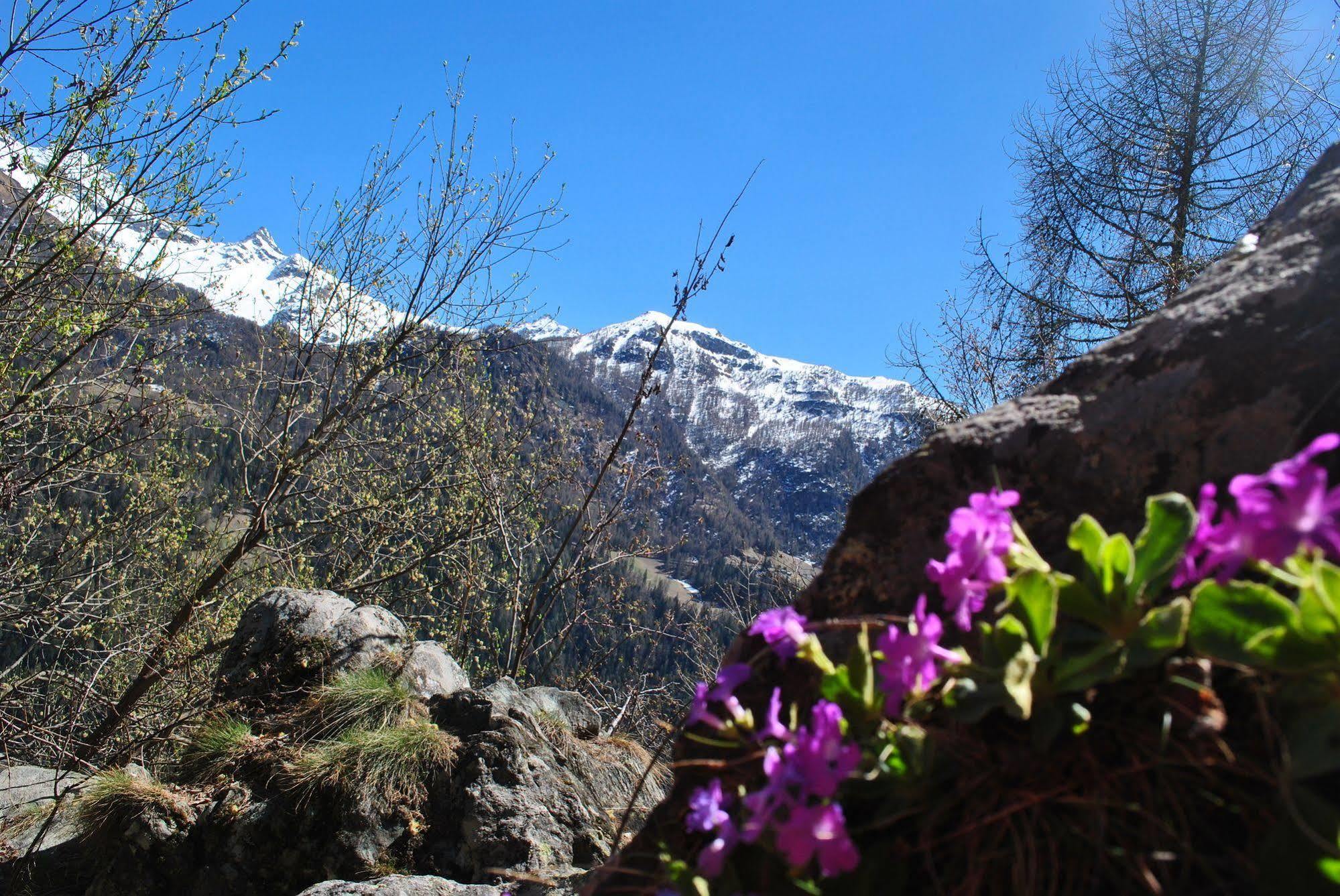 Hotell Millefiori- Alpine Event Lodge Valtournenche Eksteriør billede