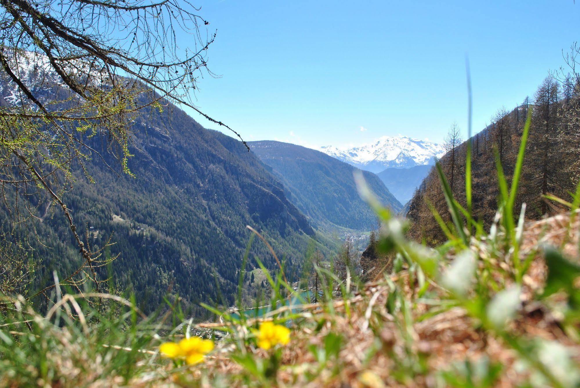 Hotell Millefiori- Alpine Event Lodge Valtournenche Eksteriør billede