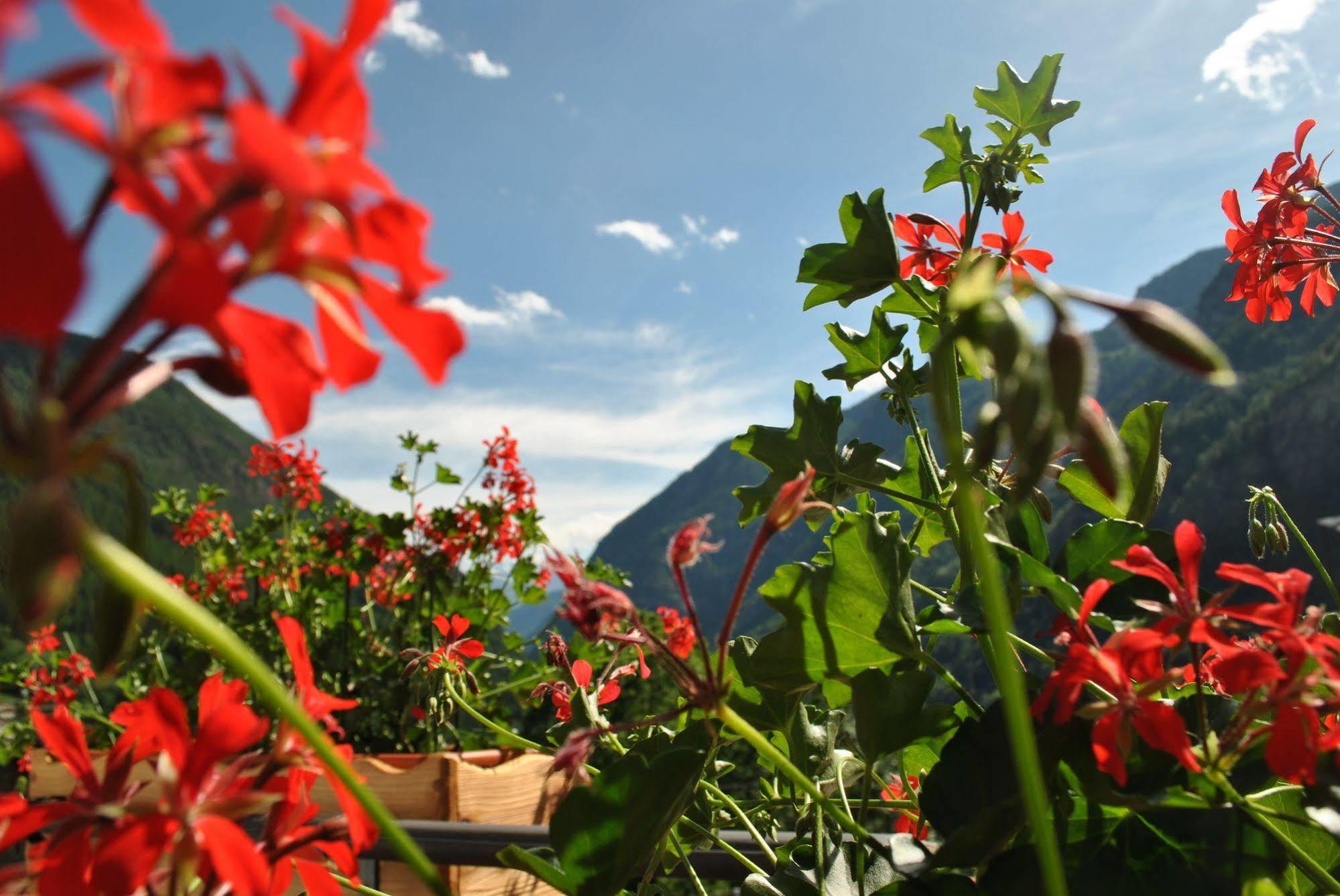 Hotell Millefiori- Alpine Event Lodge Valtournenche Eksteriør billede