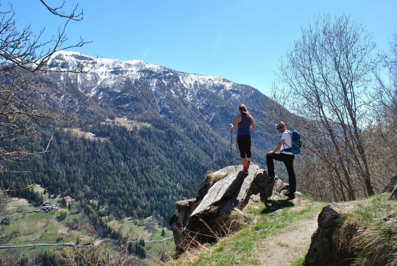 Hotell Millefiori- Alpine Event Lodge Valtournenche Eksteriør billede